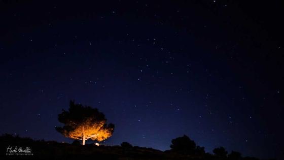 Landscape photography by Jordan Lens in Jordan — photo 2